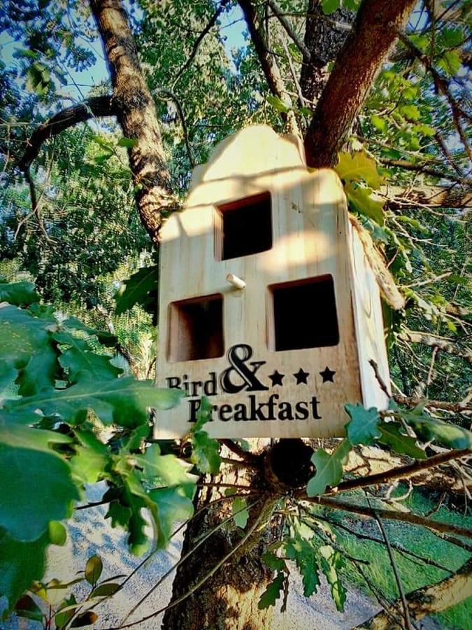 Casa Nel Bosco Il Grottone *