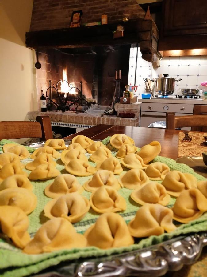 Casa Nel Bosco Il Grottone Casa vacanze Montaione