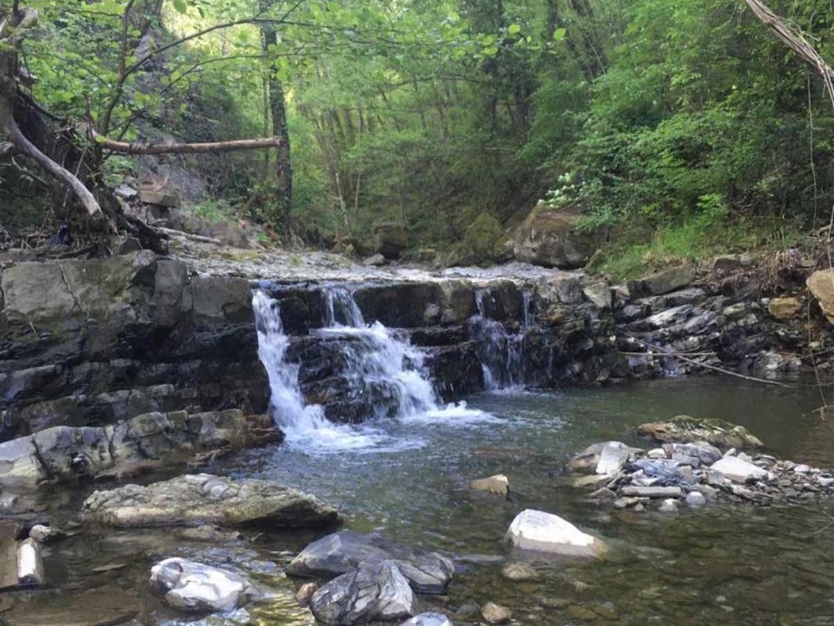 Casa vacanze Casa Nel Bosco Il Grottone Montaione
