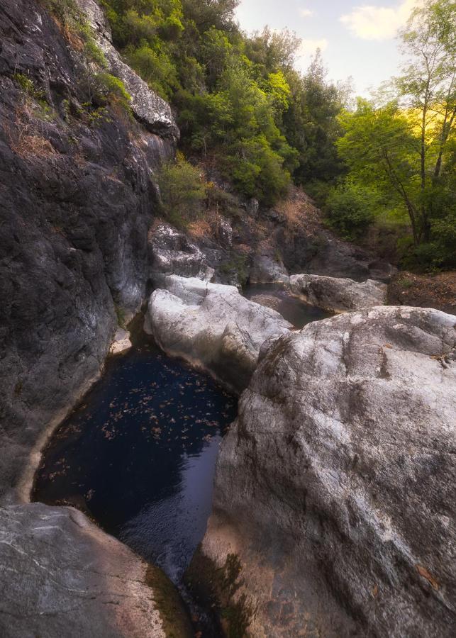 Casa Nel Bosco Il Grottone *