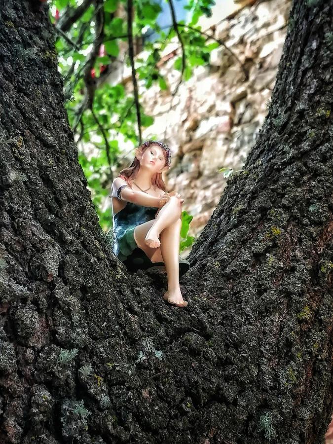 Casa Nel Bosco Il Grottone Casa vacanze Montaione