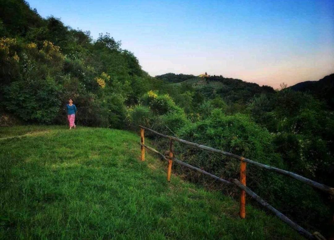 Casa Nel Bosco Il Grottone *