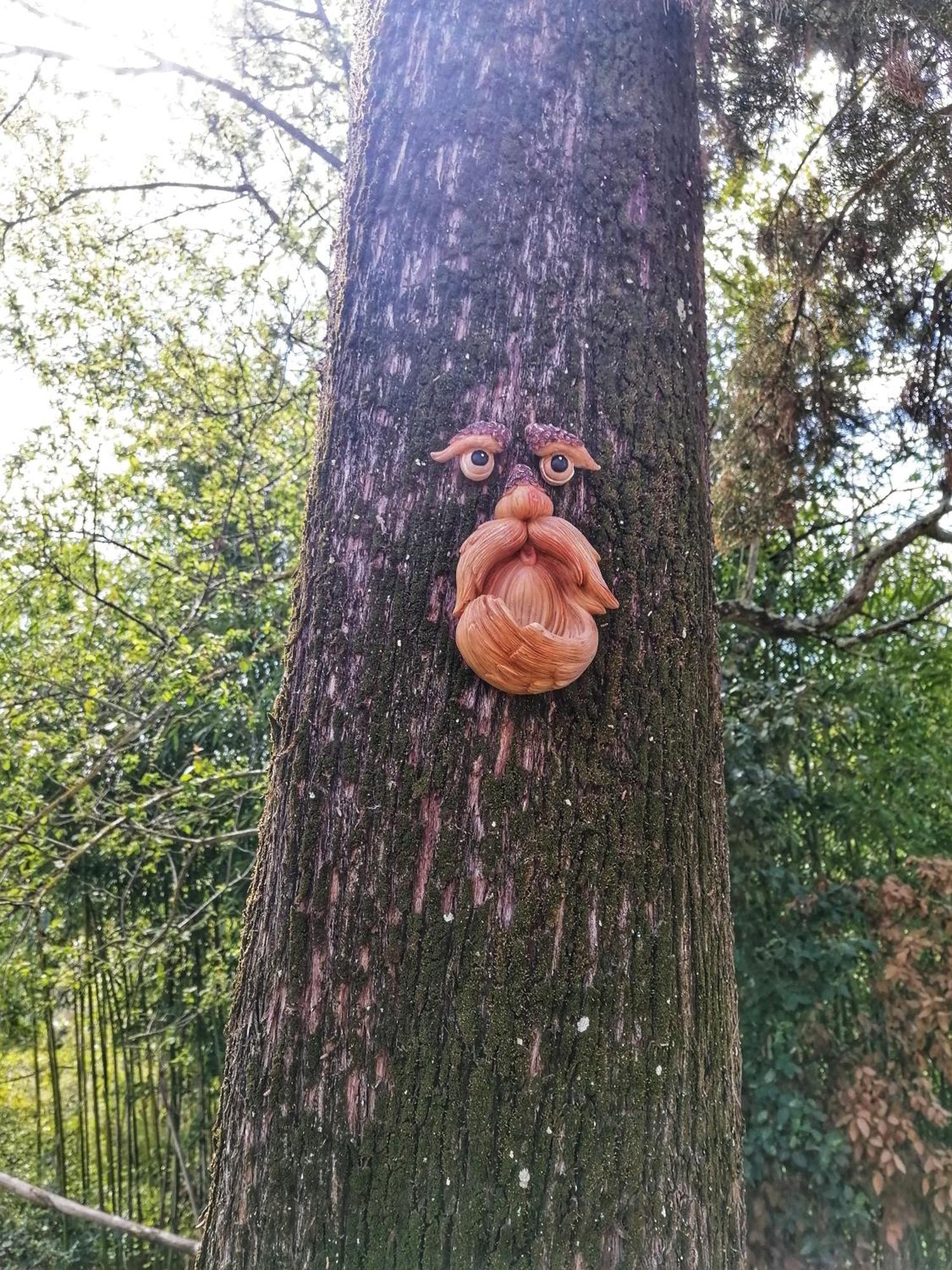 Casa Nel Bosco Il Grottone * Montaione